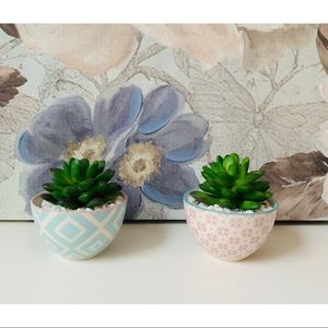 ❗️NEW set of 2 faux succulents ❗️